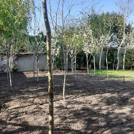 Chambres D'Hotes Gobillon Мантенон Екстериор снимка